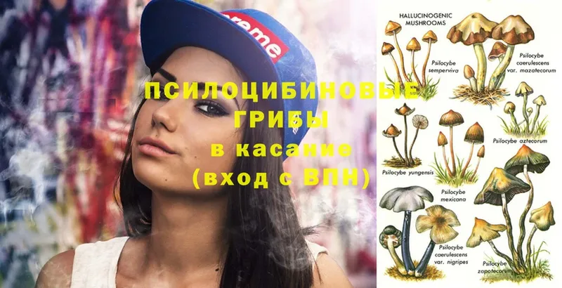 Псилоцибиновые грибы Magic Shrooms  shop как зайти  Липки  где купить наркотик 